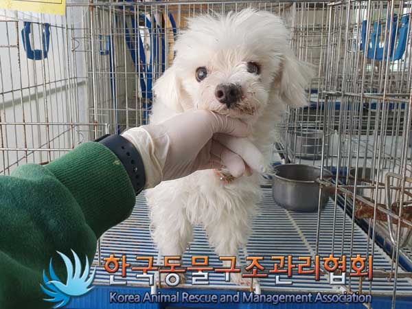 한국동물구조관리협회_411300202300061